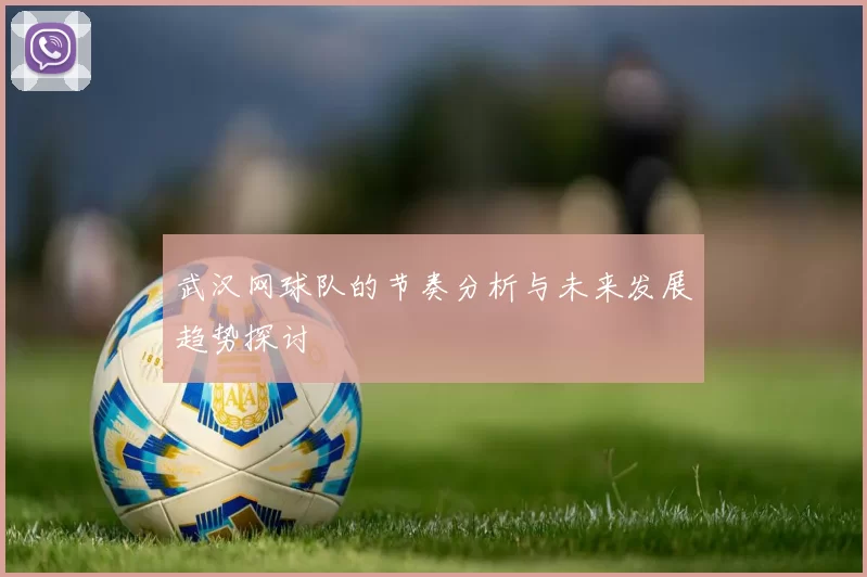 武汉网球队的节奏分析与未来发展趋势探讨