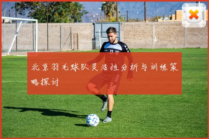 北京羽毛球队灵活性分析与训练策略探讨