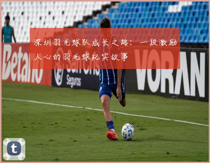 深圳羽毛球队成长之路：一段激励人心的羽毛球纪实故事