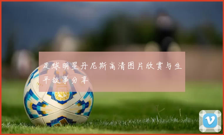 足球明星丹尼斯高清图片欣赏与生平故事分享