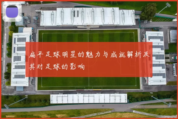 扁平足球明星的魅力与成就解析及其对足球的影响
