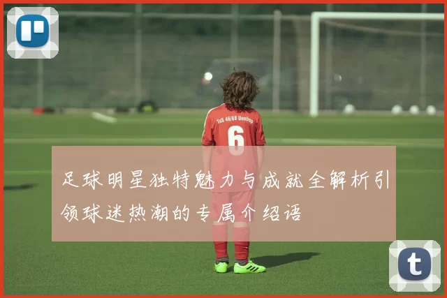 足球明星独特魅力与成就全解析引领球迷热潮的专属介绍语