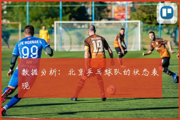 数据分析：北京乒乓球队的状态表现