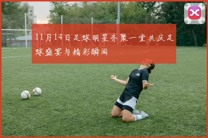 11月14日足球明星齐聚一堂共庆足球盛宴与精彩瞬间