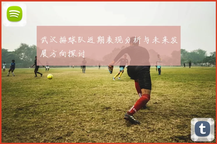 武汉排球队近期表现分析与未来发展方向探讨