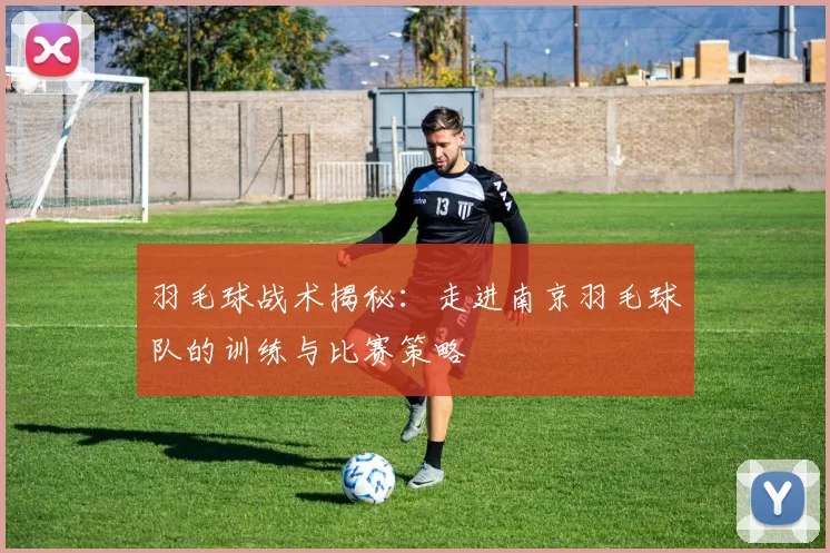 羽毛球战术揭秘：走进南京羽毛球队的训练与比赛策略