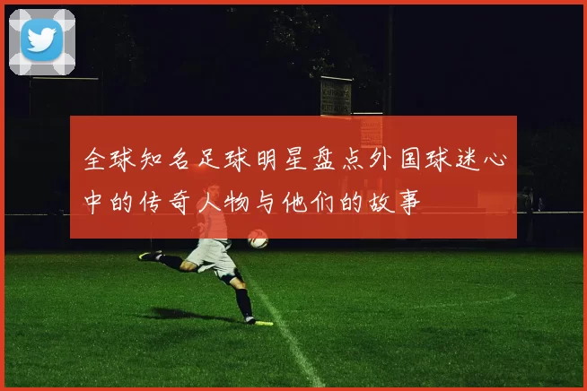 全球知名足球明星盘点外国球迷心中的传奇人物与他们的故事