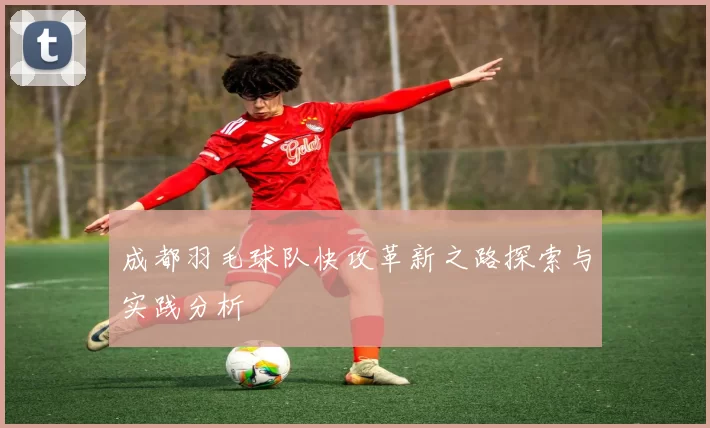 成都羽毛球队快攻革新之路探索与实践分析
