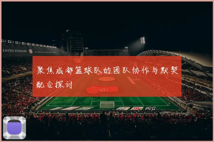 聚焦成都篮球队的团队协作与默契配合探讨