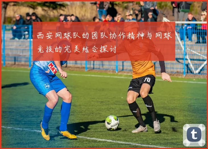西安网球队的团队协作精神与网球竞技的完美结合探讨